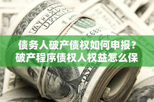 北京债务人破产债权如何申报？破产程序债权人权益怎么保障？